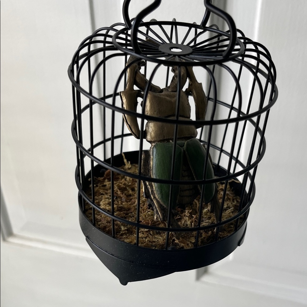 Black Wire Birdcage w/ Gold/Green Scarab Beetle Dark Academia Gothic Decor - Picture 5 of 8